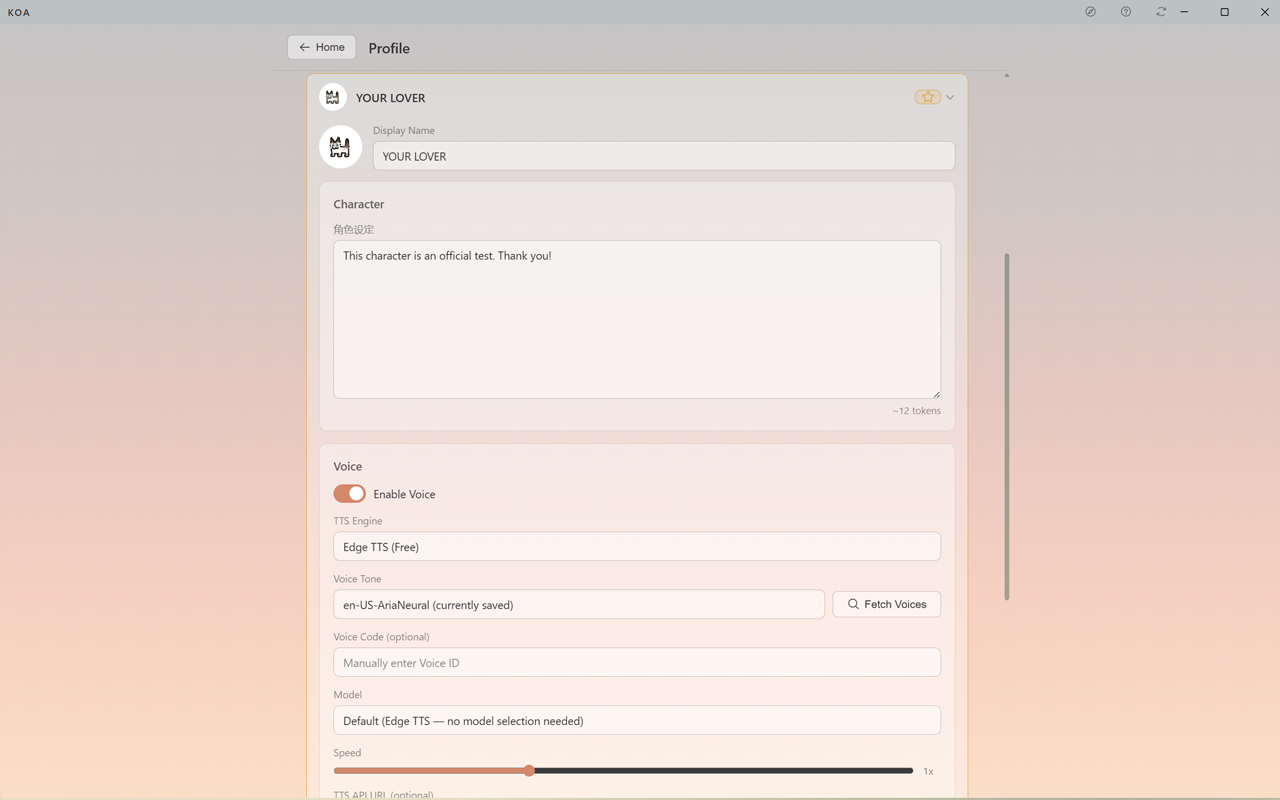 Character editor
